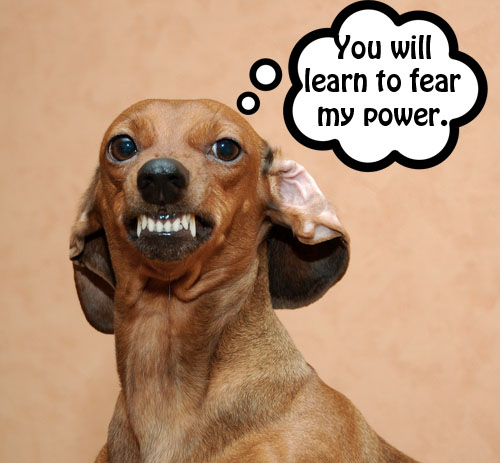 Florida real estate school