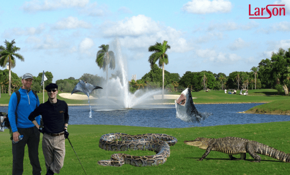 florida is australia